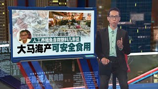 全球微塑料摄取量 研究：大马排名第一！  新闻报报看 06062024 [upl. by Elias977]