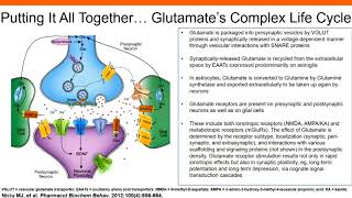 The Role of Glutamatergic Signaling in Major Depressive Disorder [upl. by Yardna]