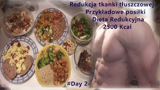 Redukcja tkanki tłuszczowej Day 2 Przykładowe posiłki  Dieta Redukcyjna 2500 Kcal [upl. by Dewhirst]