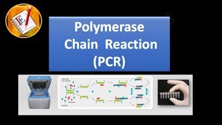 Basic Concepts 01  Polymerase Chain Reaction PCR [upl. by Finkelstein]