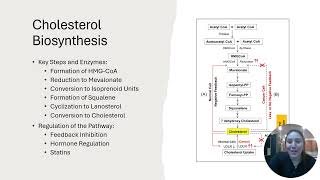 Lovastatin and its Pathway to Inhibit Cholesterol [upl. by Mchail211]