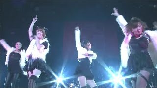 THE ポッシボー 「Do Me Do」20131124 赤坂BLITZ [upl. by Prosperus684]