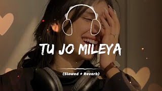 Tu Jo Mileya slow  reverb Juss ❌ Mixsingh  Headphones 🎧 Recommended [upl. by Rimaa]