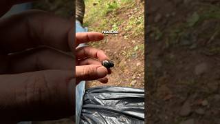 Ford F350 Fuel Filter Change Part 1 [upl. by Horowitz]