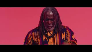 Tiken Jah Fakoly  Kodjougou Official video [upl. by Attenra951]