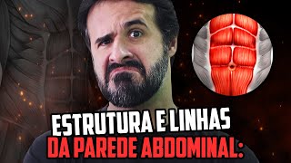 ESTRUTURA E LINHAS DA PAREDE ABDOMINAL [upl. by Nnahgiel]