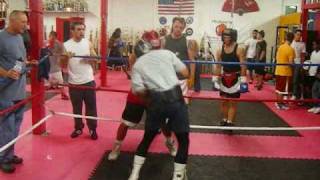 Boxing  Amateur vs Professional Sparring [upl. by Hooker]