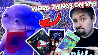 Weird Things On VHS  Phelous [upl. by Ecinuahs]