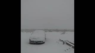 Blizzard in Big Bend Texas Terlingua Texas [upl. by Clarisa611]