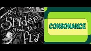 09th English TN Discussion of Long answer questions from poem The Spider and the Fly [upl. by Cairns382]