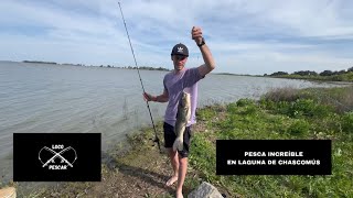 Pesca increíble en laguna de Chascomús [upl. by Nigrom]