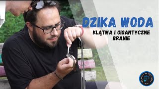 Sumiki karłowate quotbyczkiquot  Dzika woda 13 [upl. by Ilse]