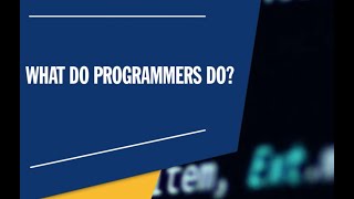 What Does a Programmer Do The Life of a Programmer [upl. by Zetra]