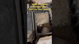 Vehicle Rodent InfestationHyundai Santa Fe Bad Gas Mileage Issue [upl. by Kuhn834]