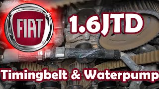 Fiat 16 D Multijet Timing belt replacement 55283775 55280444 [upl. by Earlie]