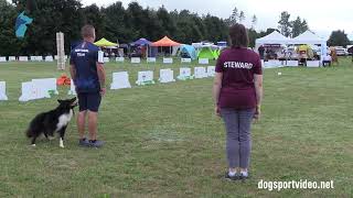 Qualifications – Marco Jorge Ribeiro da Silva  Mind the Dog Mignolo  Border Collie – PORTUGAL [upl. by Etteoj]