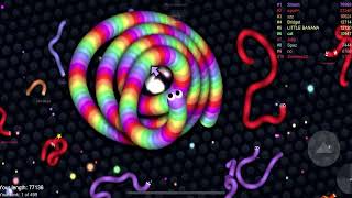 Slitherio AI 103000 Score Epic Slitherio Gameplay 243 [upl. by Sarad]