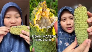 AN3H⁉️ KOMPILASI DIREY MAKAN BUAH MONSTERA [upl. by Ittam]