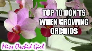 Top 10 DONTs when Growing Orchids  tips for orchid beginners [upl. by Utimer]