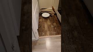 Roomba teaches a lesson to a kitchen rug [upl. by Monaco]