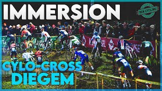 Immersion  CycloCross Diegem 2019 [upl. by Aniratac]