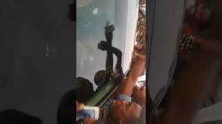 Nsoroma Season 1 Grand Finale Crowds won’t allow Kuami Eugene out of his car [upl. by Elohc]