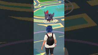 When I Directly Caught Zorua in wild 😳 Pokemon go [upl. by Weibel671]