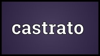 Castrato Meaning [upl. by Yenwat713]