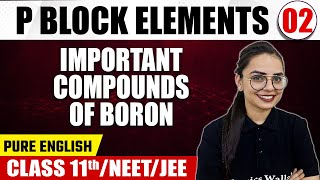 P BLOCK ELEMENTS 02  Important Compounds Of Boron  Chemistry  Pure English  Class 11thNEETJEE [upl. by Drue]