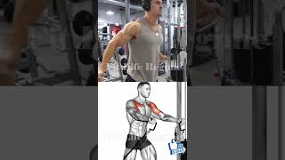 5 Best Upper Chest Exercises for Mass and Strength [upl. by Nievelt]