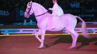 Little girl riding a Lusitano stallion at Golegã [upl. by Adnawed]