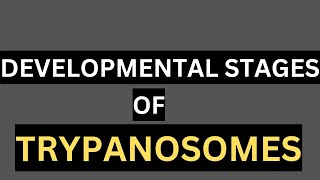 morphologydevelopmental stagebiology of trypanosomes [upl. by Introk42]