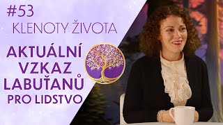 IVA KENAZ Elfové Vnitřní země a vzpomínky duše  Klenoty života [upl. by Ahsla545]