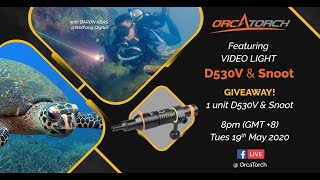 OrcaTorch D530V Review  Dive Torch vs Video Light  Underwater Shooting Tips [upl. by Yerffeg34]