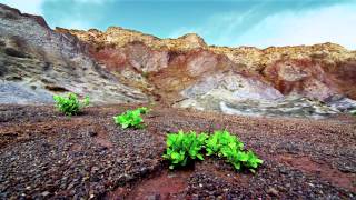 La Gomera  The energy awaiting you [upl. by Uttica]