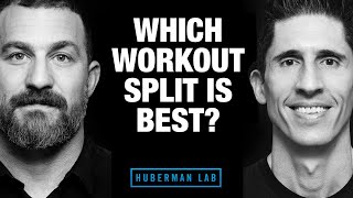 Which Workout Split is Best ft Huberman Lab Podcast [upl. by Mcfarland]