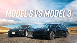 Model 3 vs Model S The Ultimate Tesla Battle [upl. by Yrrac]