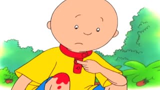 Caillou en Español  Dibujos Infantiles  Aventuras de Caillou COMPILATION  Capitulos Completos [upl. by Arihsak]