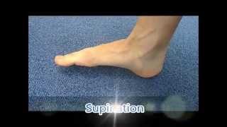 Ankle pronation and supination [upl. by Miller862]