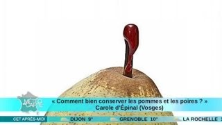 Comment conserver les pommes et les poires [upl. by Aonehc872]