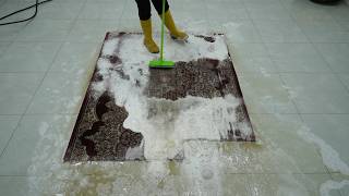 quotThe Ultimate Guide to Carpet Cleaning Effective Methods Revealed [upl. by Ellery]