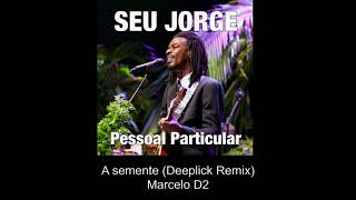 Seu Jorge  Pessoal Particular DeepLick Remix [upl. by Hako]