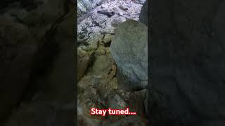 Nuovo video in arrivo trekking escursione nature naturelovers [upl. by Mitzl799]