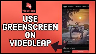 How to Use Green Screen on Videoleap Tutorial 2023 [upl. by Piderit]