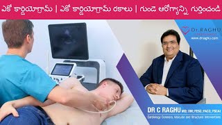 EchoCardiogram  Types of EchoCardiogram  Detect Heart Health [upl. by Dammahum]