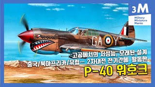 커티스 P40 Warhawk2  고고도 저성능이지만 힘든 전선을 지켜낸 미군의 지상 공격 전문기 [upl. by Berkman]