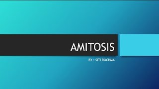 Apa itu Amitosis amitosis mitosis pembelahansel meiosis sel viral pembelaran [upl. by Ysdnil685]