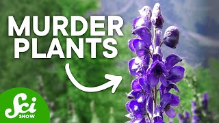 The Top 10 Deadliest Plants They Can Kill You [upl. by Ettezoj480]