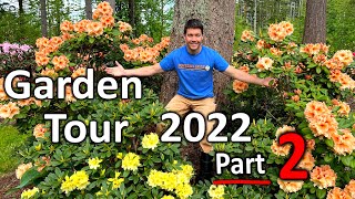 Rhododendron Garden Tour 2022 Part 2 More Flowers are Blooming at Kincaids Nursery [upl. by Ettenal749]