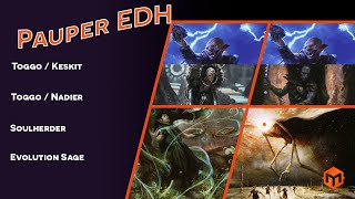 Pauper EDH  ToggoKeskit VS ToggoNadier VS Soulherder VS Evolution Sage [upl. by Alleunam329]